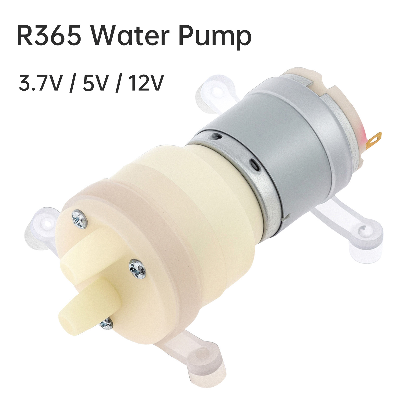 Mini Peristaltic Pump 12V - R365 Mikro Su Pompası Motoru DC