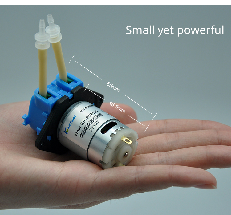 Mini Peristaltic Pump 12V - 2026 yeni NKP 6V 12V 24V