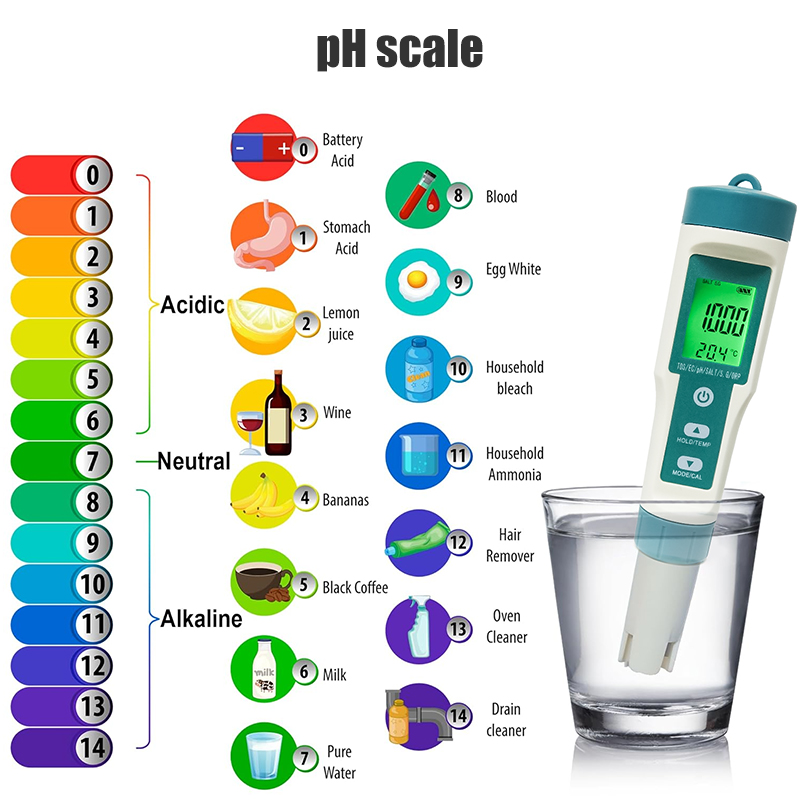 WESTTUNE Dijital PH Ölçer 7 In - Ph Meter Digital Water Tester incelemesi ve fiyatı