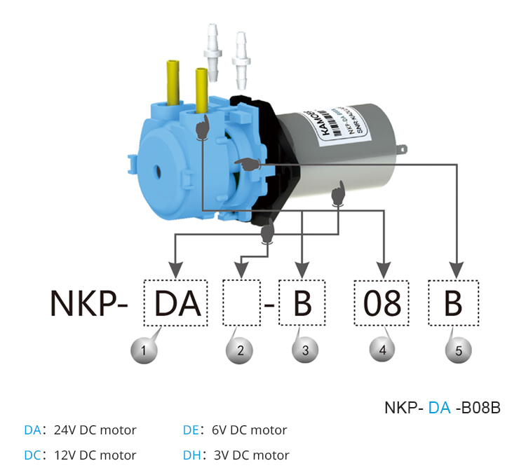 2026 yeni NKP 6V 12V 24V DC mo - Mini Peristaltic Pump 12V incelemesi ve fiyatı